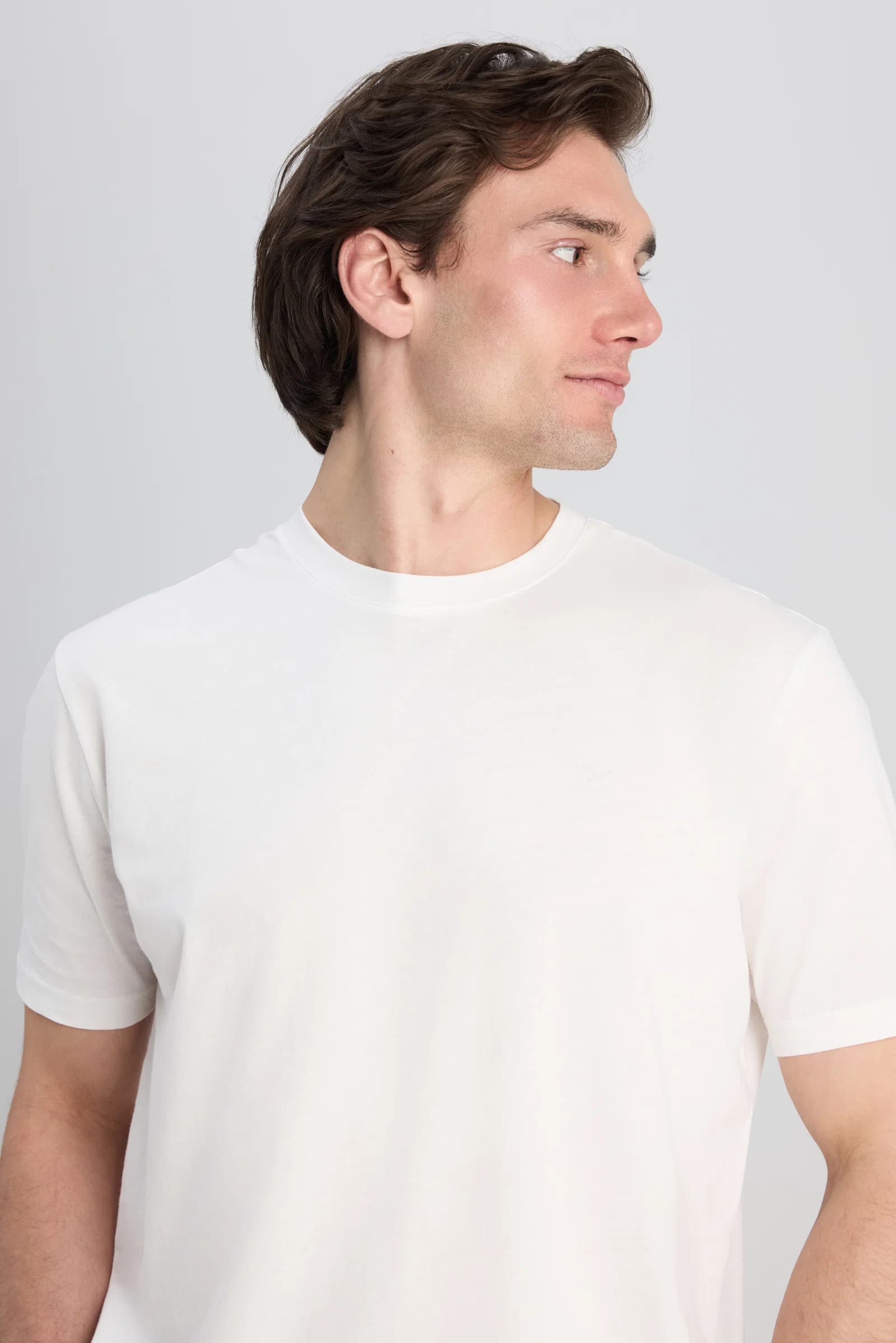 Ds Damat Regular Fit Ekru Düz T-shirt görsel 3